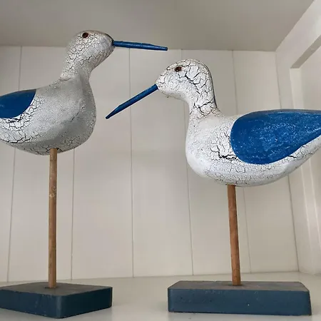 Ons Nest With Parking By Interhome Villa De Haan